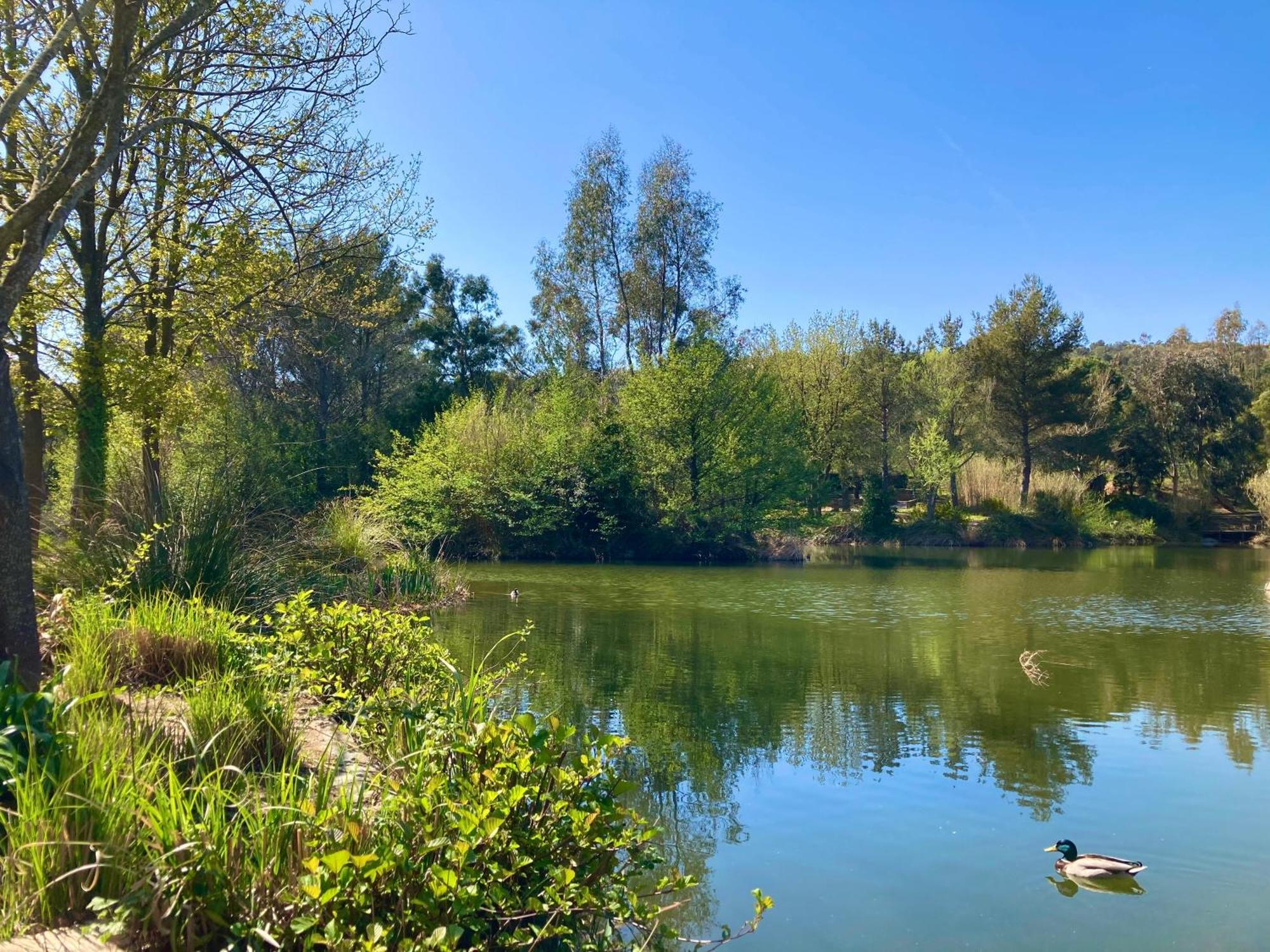 Les Restanques Vue Mer Pressoir 3131 Grimaud Exteriör bild