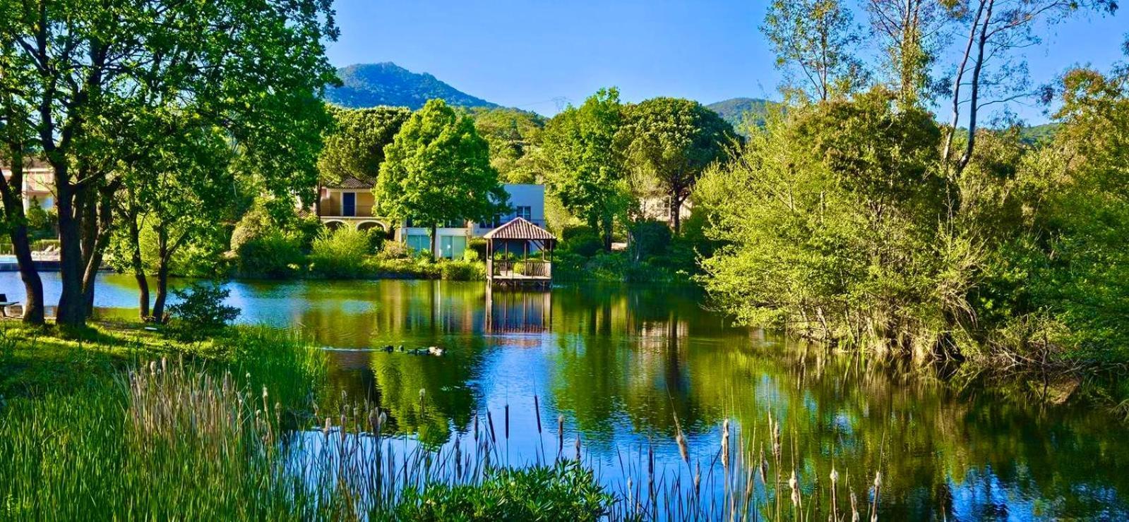 Les Restanques Vue Mer Pressoir 3131 Grimaud Exteriör bild